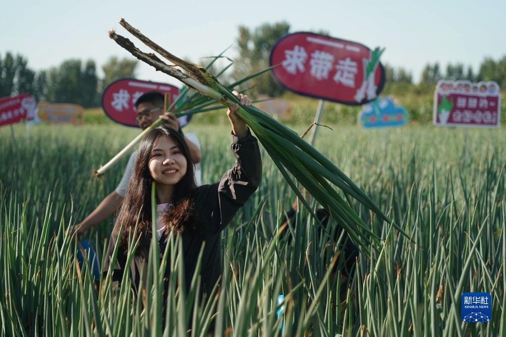 全部提现游戏